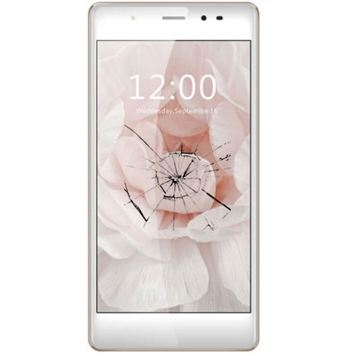 Ремонт дисплея Leagoo T1