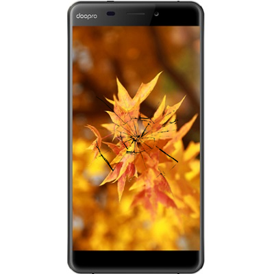 Ремонт дисплея Doopro C1