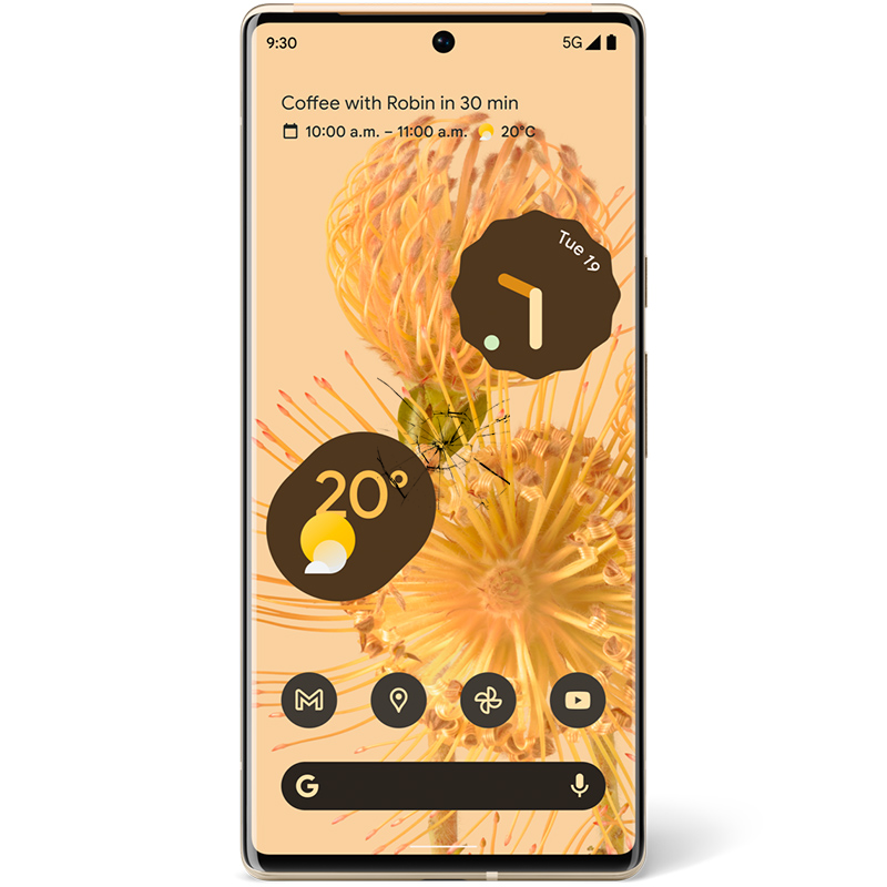 Ремонт дисплея Google Pixel 6 Pro